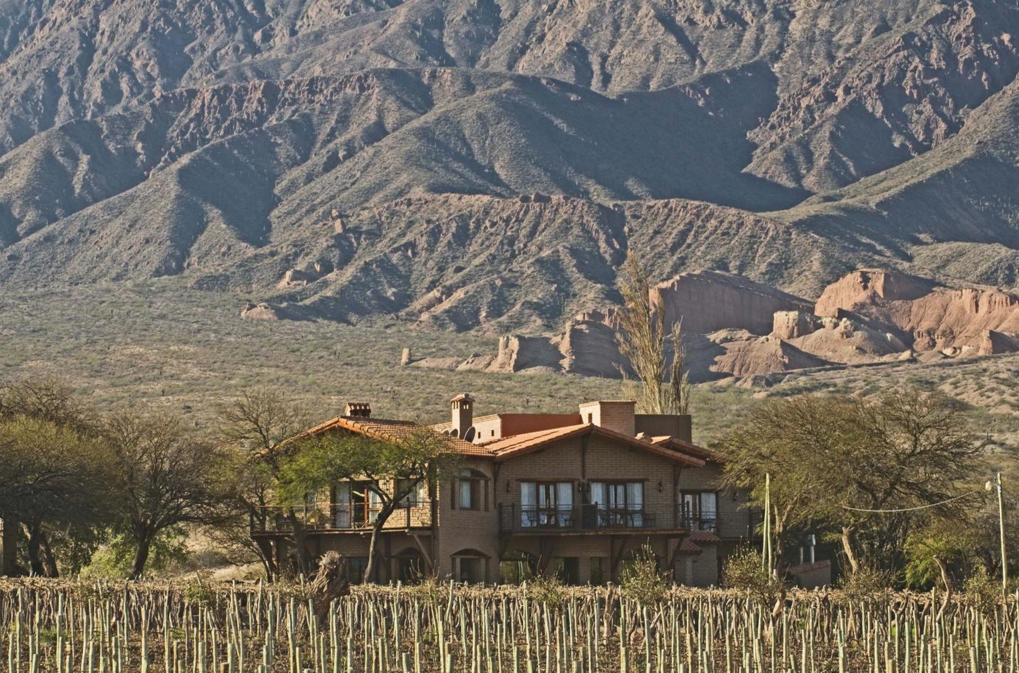 La Casa De La Bodega - Wine Boutique Hotel Cafayate Exterior photo